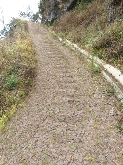 25.07.2013 Levadas dos Tornos und do Bom Sucesso — Abstieg zur Levada do Bom Sucesso — Foto 4