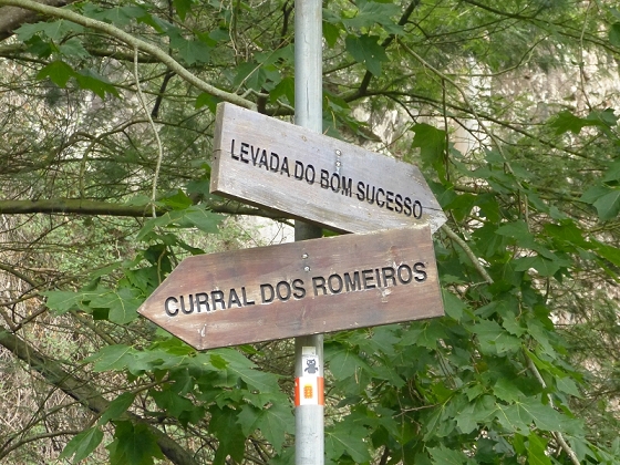 25.07.2013 Levadas dos Tornos und do Bom Sucesso — Abstieg zur Levada do Bom Sucesso — Foto 7