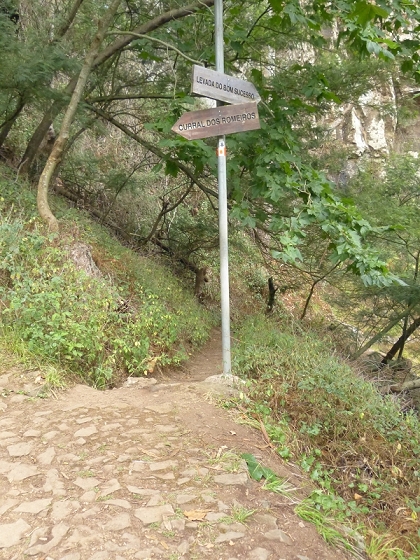 25.07.2013 Levadas dos Tornos und do Bom Sucesso — Abstieg zur Levada do Bom Sucesso — Foto 8