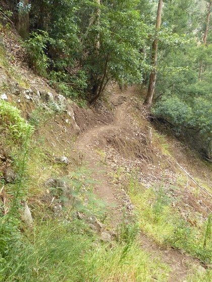 25.07.2013 Levadas dos Tornos und do Bom Sucesso — Abstieg zur Levada do Bom Sucesso — Foto 9
