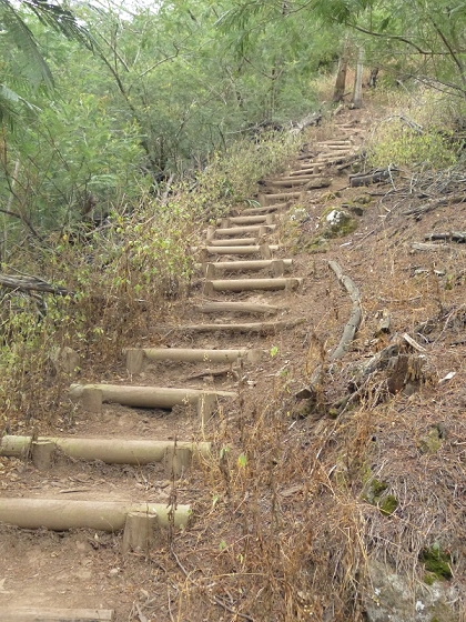 25.07.2013 Levadas dos Tornos und do Bom Sucesso — Abstieg zur Levada do Bom Sucesso — Foto 11