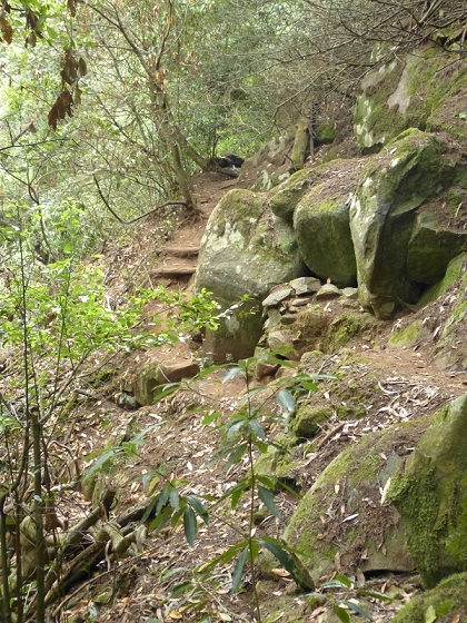 25.07.2013 Levadas dos Tornos und do Bom Sucesso — Abstieg zur Levada do Bom Sucesso — Foto 14