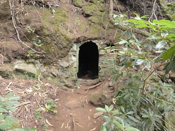 25.07.2013 Levadas dos Tornos und do Bom Sucesso — Abstieg zur Levada do Bom Sucesso — Foto 17