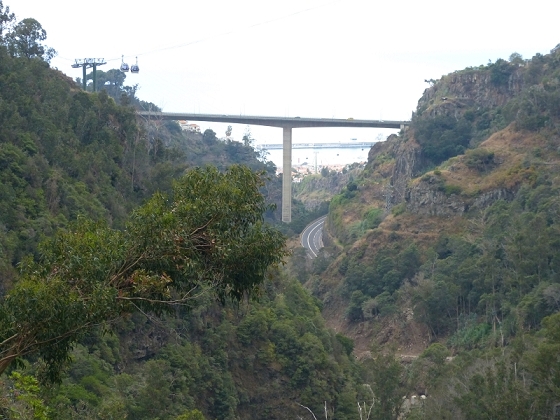 25.07.2013 Levadas dos Tornos und do Bom Sucesso — Abstieg zur Levada do Bom Sucesso — Foto 18