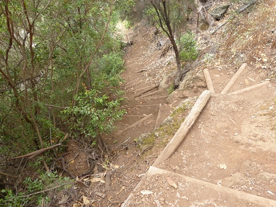 25.07.2013 Levadas dos Tornos und do Bom Sucesso — Abstieg zur Levada do Bom Sucesso — Foto 19