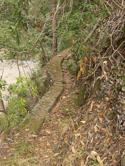 25.07.2013 Levadas dos Tornos und do Bom Sucesso — Levada do Bom Sucesso — Foto 4