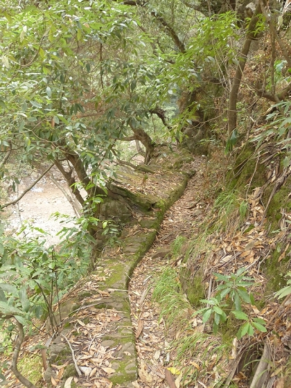 25.07.2013 Levadas dos Tornos und do Bom Sucesso — Levada do Bom Sucesso — Foto 5