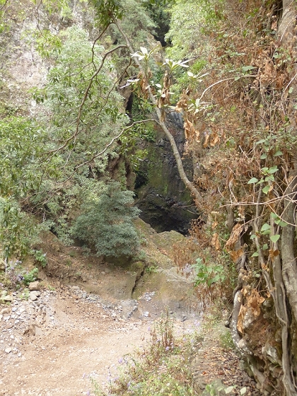 25.07.2013 Levadas dos Tornos und do Bom Sucesso — Levada do Bom Sucesso — Foto 6