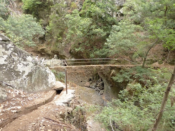 25.07.2013 Levadas dos Tornos und do Bom Sucesso — Levada do Bom Sucesso — Foto 16