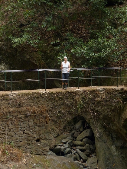 25.07.2013 Levadas dos Tornos und do Bom Sucesso — Levada do Bom Sucesso — Foto 17