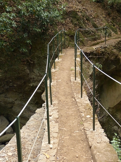 25.07.2013 Levadas dos Tornos und do Bom Sucesso — Levada do Bom Sucesso — Foto 19
