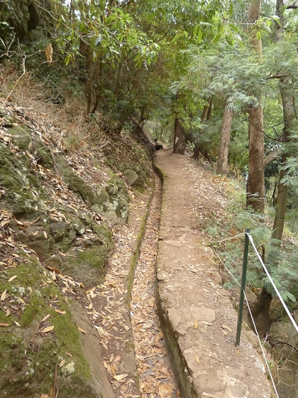 25.07.2013 Levadas dos Tornos und do Bom Sucesso — Levada do Bom Sucesso — Foto 21