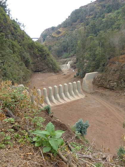 25.07.2013 Levadas dos Tornos und do Bom Sucesso — Levada do Bom Sucesso — Foto 22