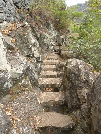 25.07.2013 Levadas dos Tornos und do Bom Sucesso — Levada do Bom Sucesso — Foto 25
