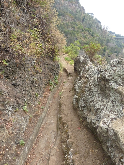 25.07.2013 Levadas dos Tornos und do Bom Sucesso — Levada do Bom Sucesso — Foto 26