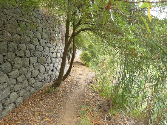 25.07.2013 Levadas dos Tornos und do Bom Sucesso — Levada do Bom Sucesso — Foto 27