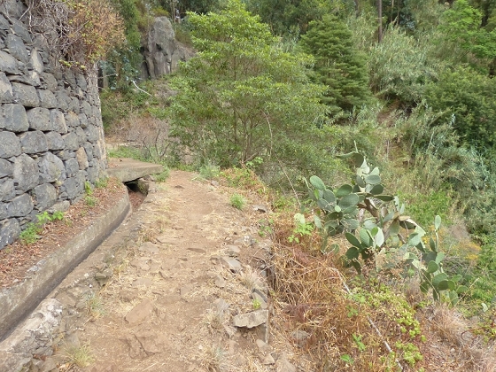 25.07.2013 Levadas dos Tornos und do Bom Sucesso — Levada do Bom Sucesso — Foto 28