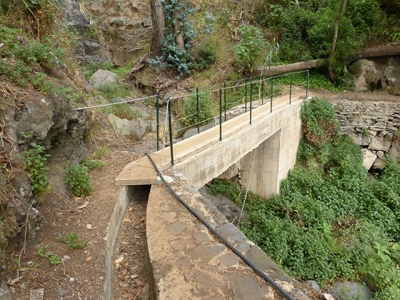 25.07.2013 Levadas dos Tornos und do Bom Sucesso — Levada do Bom Sucesso — Foto 29