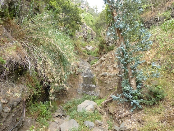 25.07.2013 Levadas dos Tornos und do Bom Sucesso — Levada do Bom Sucesso — Foto 30