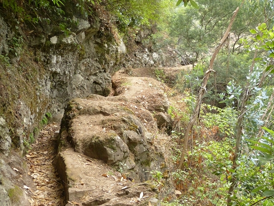 25.07.2013 Levadas dos Tornos und do Bom Sucesso — Levada do Bom Sucesso — Foto 32