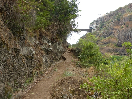 25.07.2013 Levadas dos Tornos und do Bom Sucesso — Levada do Bom Sucesso — Foto 33