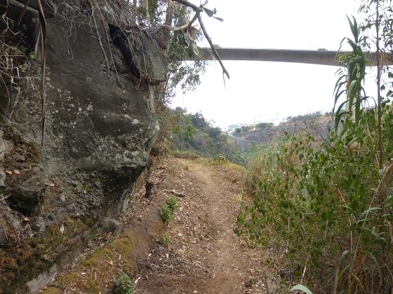 25.07.2013 Levadas dos Tornos und do Bom Sucesso — Levada do Bom Sucesso — Foto 34