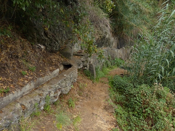 25.07.2013 Levadas dos Tornos und do Bom Sucesso — Levada do Bom Sucesso — Foto 36