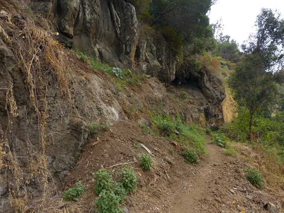 25.07.2013 Levadas dos Tornos und do Bom Sucesso — Levada do Bom Sucesso — Foto 38