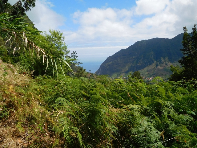 25 July 2015 3 Levadas around Ginjas — Levada da Ginjas — photo 12