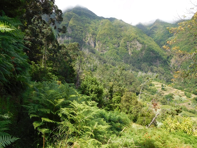 25 July 2015 3 Levadas around Ginjas — Levada da Ginjas — photo 14