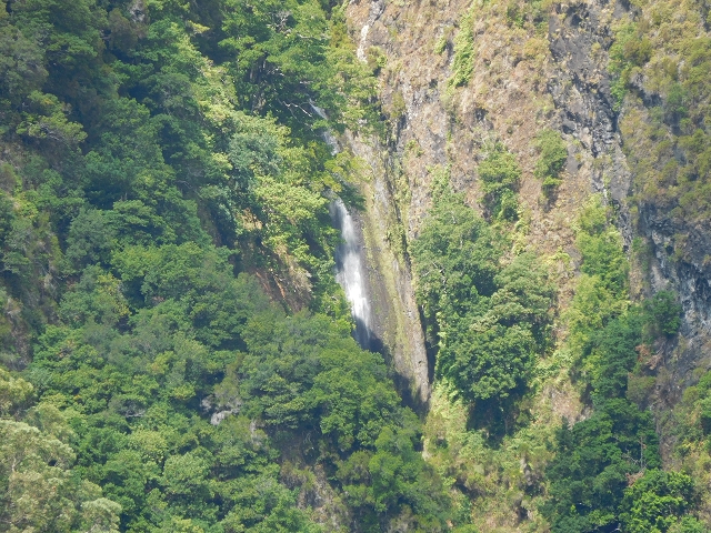 25 July 2015 3 Levadas around Ginjas — Levada da Ginjas — photo 15