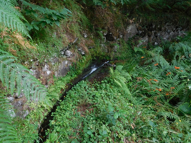 25 July 2015 3 Levadas around Ginjas — Levada da Ginjas — photo 16