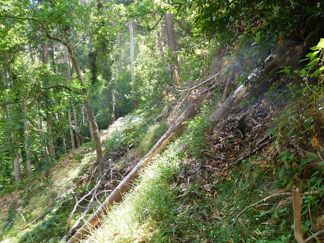 25 July 2015 3 Levadas around Ginjas — Levada da Ginjas — photo 18