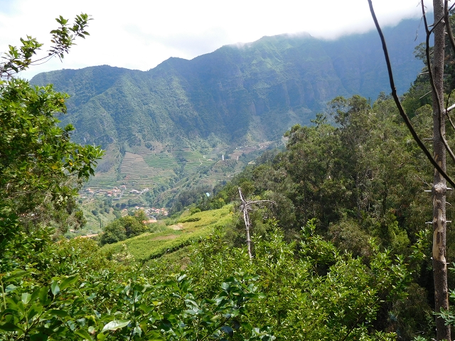 25 July 2015 3 Levadas around Ginjas — Levada da Ginjas — photo 21