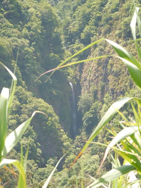 25 July 2015 3 Levadas around Ginjas — Levada do Lanço — photo 2