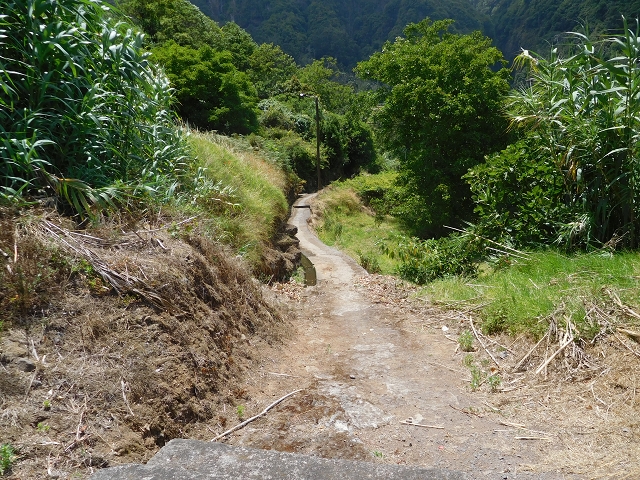 25 July 2015 3 Levadas around Ginjas — Levada do Lanço — photo 3