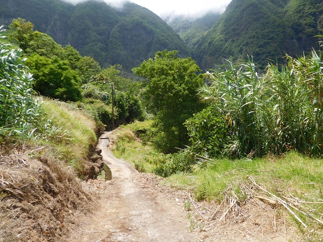 25 July 2015 3 Levadas around Ginjas — Levada do Lanço — photo 4