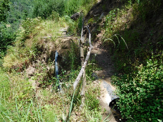 25 July 2015 3 Levadas around Ginjas — Levada do Lanço — photo 6