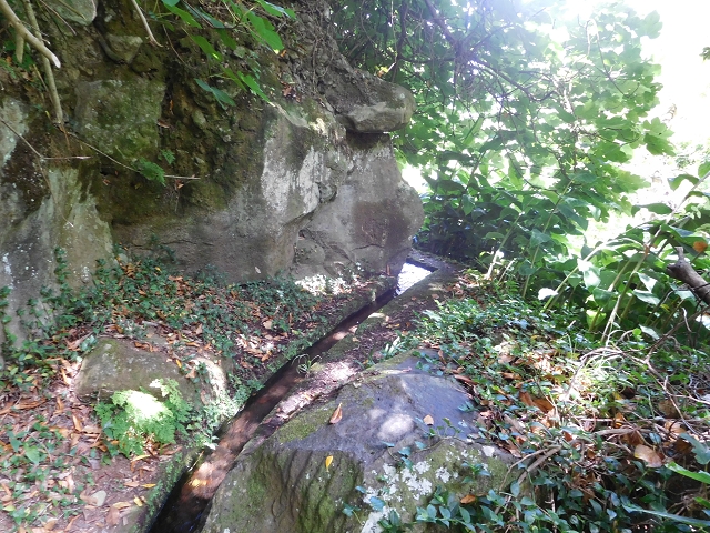 25 July 2015 3 Levadas around Ginjas — Levada do Lanço — photo 8