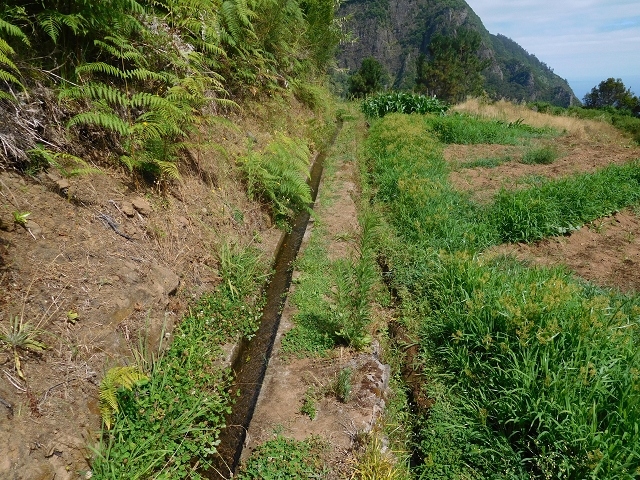 25 July 2015 3 Levadas around Ginjas — Levada da Ginjas — photo 3
