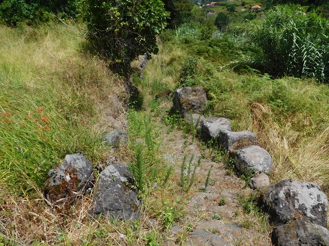 25 July 2015 3 Levadas around Ginjas — Levada do Lanço — photo 9