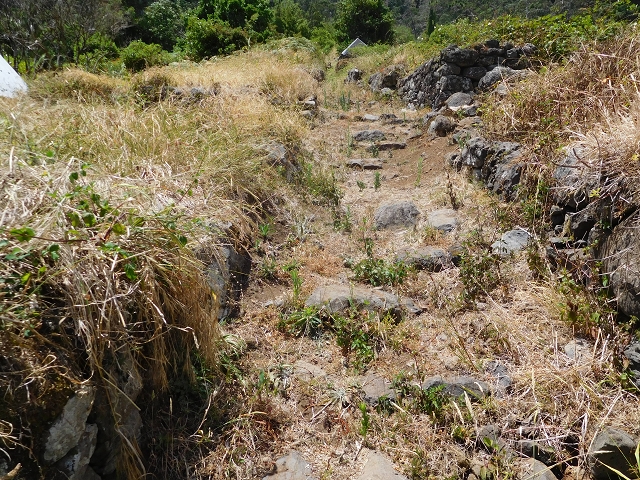25 July 2015 3 Levadas around Ginjas — Levada do Lanço — photo 10