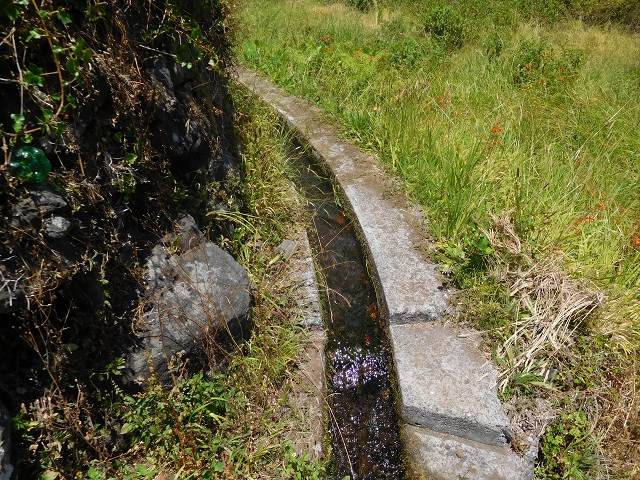 25 July 2015 3 Levadas around Ginjas — Levada do Lanço — photo 11