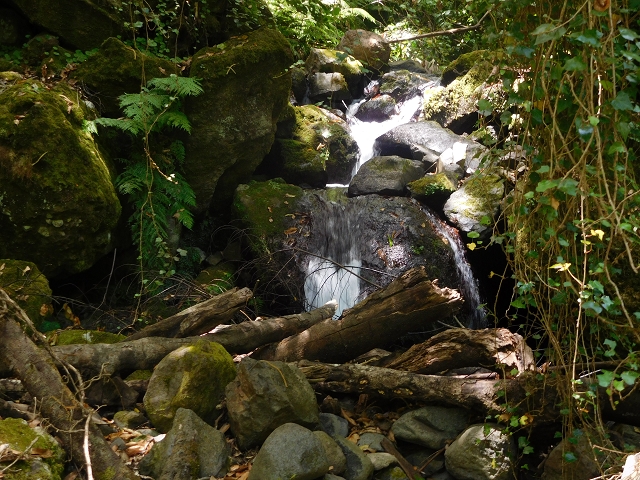 25 July 2015 3 Levadas around Ginjas — Levada do Lanço — photo 12