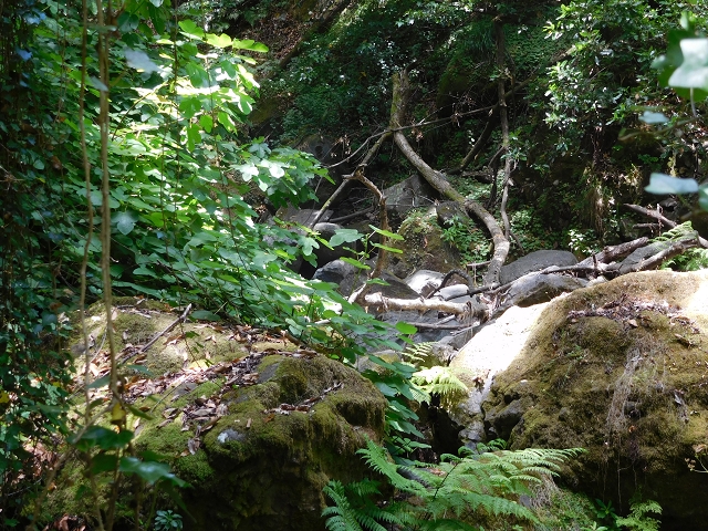 25 July 2015 3 Levadas around Ginjas — Levada do Lanço — photo 13