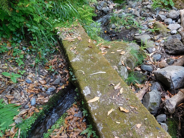 25 July 2015 3 Levadas around Ginjas — Levada do Lanço — photo 14