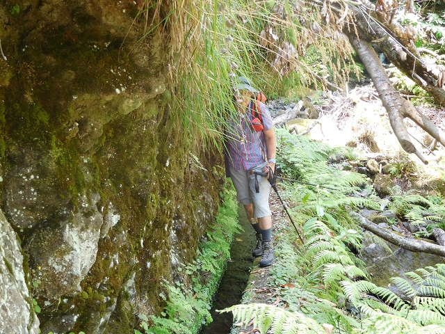 25 July 2015 3 Levadas around Ginjas — Levada do Lanço — photo 17