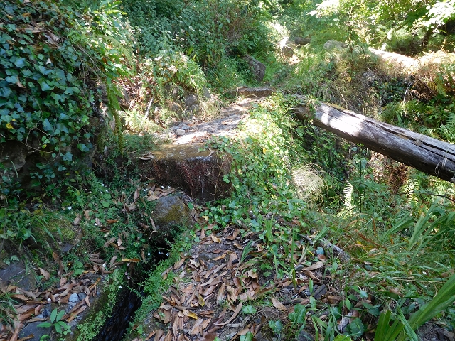 25 July 2015 3 Levadas around Ginjas — Levada do Lanço — photo 20