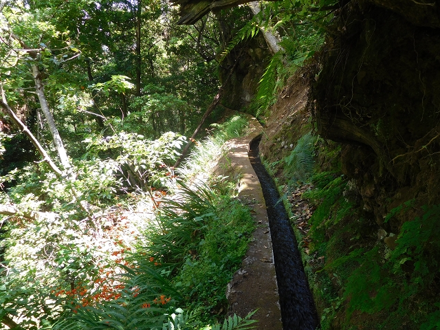 25 July 2015 3 Levadas around Ginjas — Levada do Lanço — photo 25