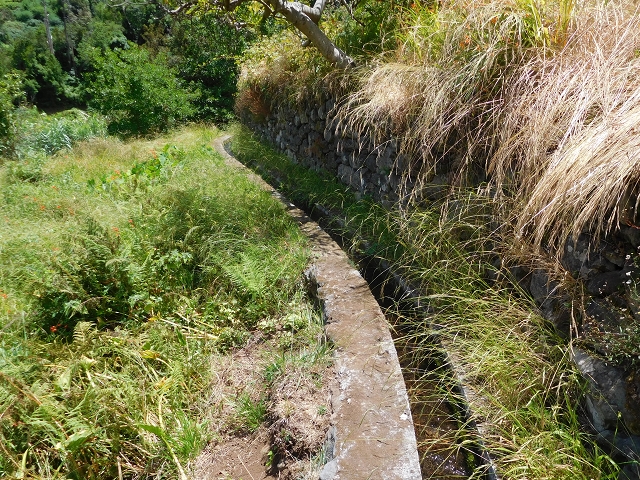 25 July 2015 3 Levadas around Ginjas — Levada do Lanço — photo 27